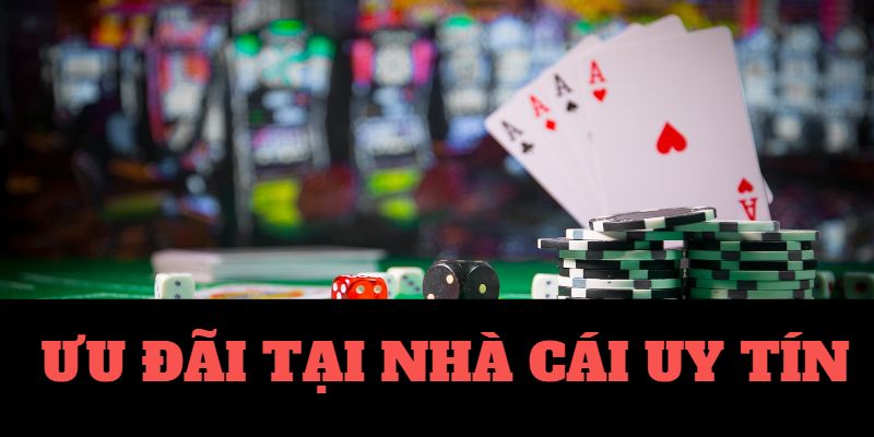 X8-Khám phá thế giới casino trực tuyến cùng chúng tôi!